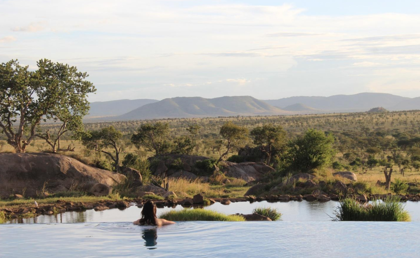 Luxury safari tour operator software