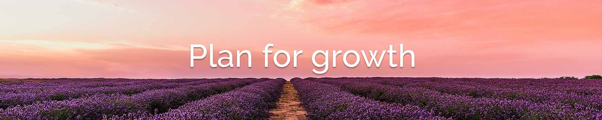 growth itinerary builder software