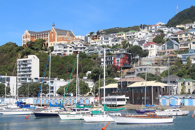 Wellington harbour